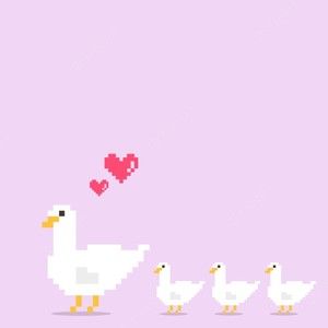 Meet your Posher, Hayley